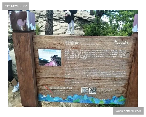 黑马崛起逆袭之路:从平凡到卓越的奋斗与突破 黑马崛起逆袭之路:从平凡到卓越的奋斗与突破